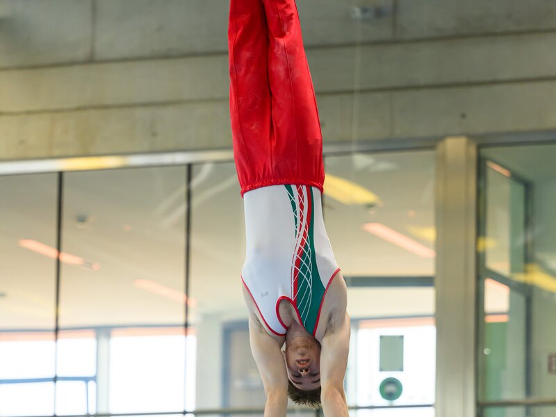 Horizontal bar | © 2025 Norman Seibert